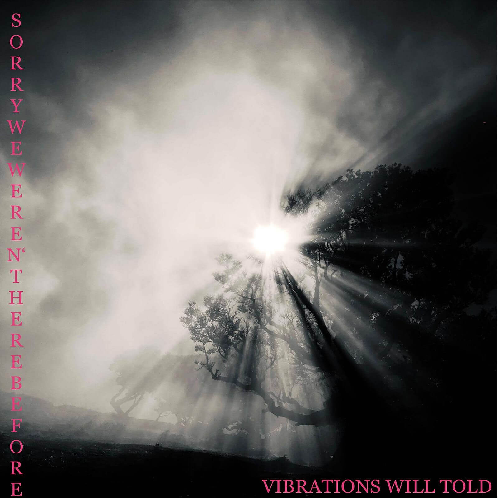 Vibrations Will Told-Cover